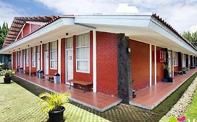 Maple House Lembang